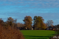 P1166773