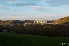 P1166700