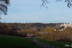 P1166743