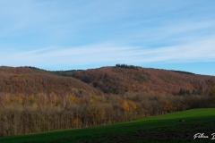 P1166745